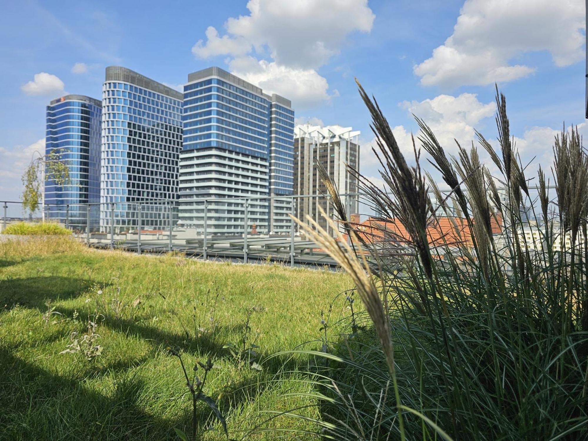 Urban Apartments Premium, Opolska 10 No 21, Free Garage, Self Check-In คาโตวีตเซ ภายนอก รูปภาพ